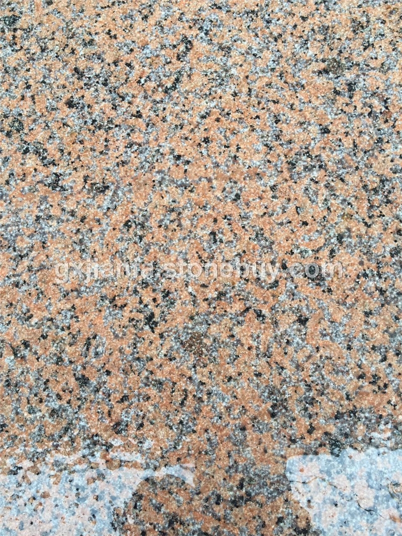 桂林红 21