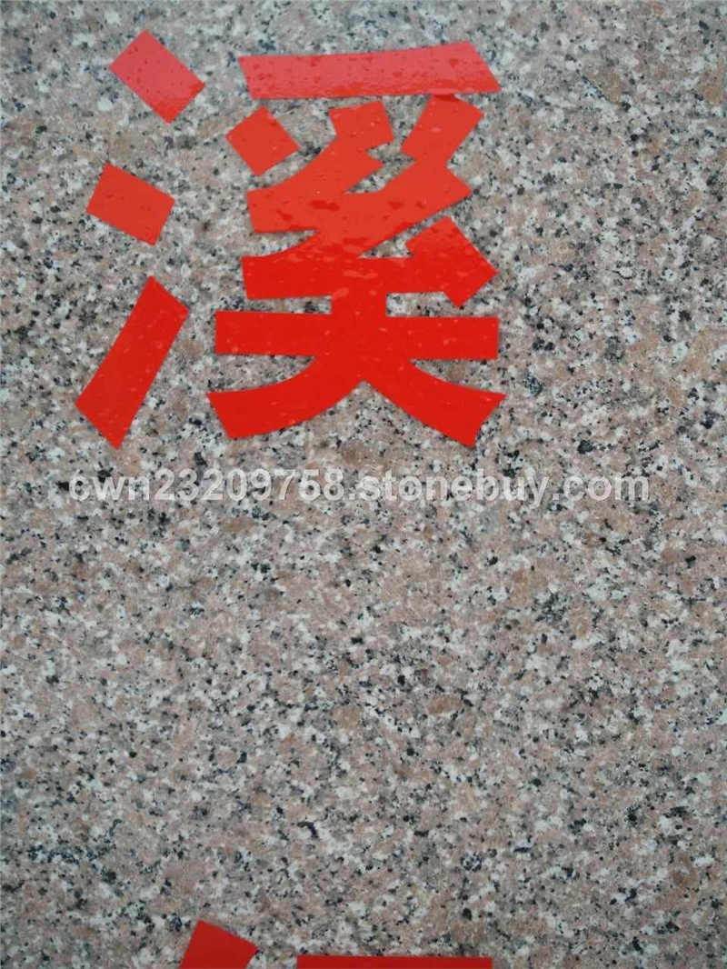 安溪红 7