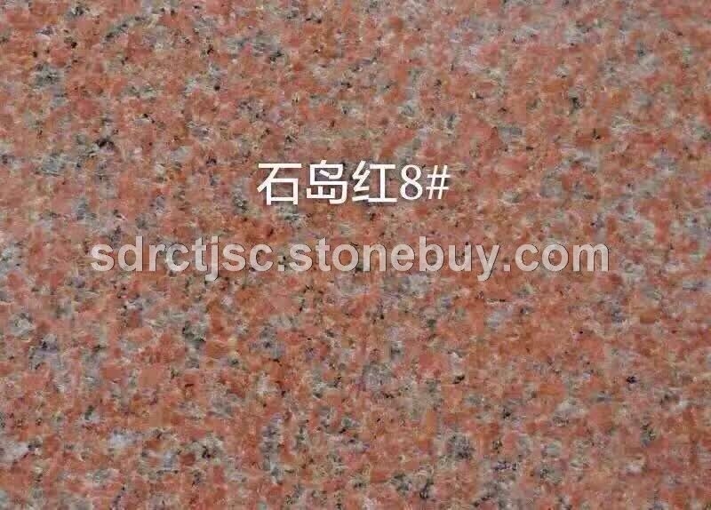 石岛红8