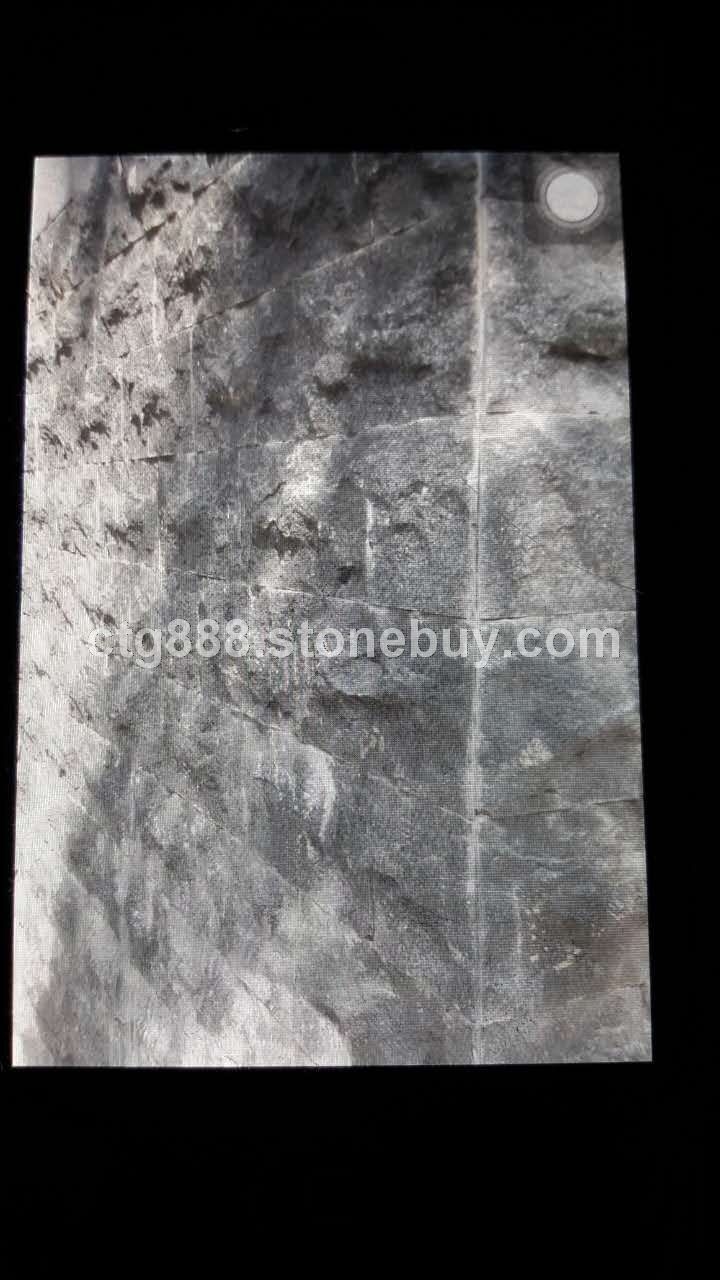 福建黑 1