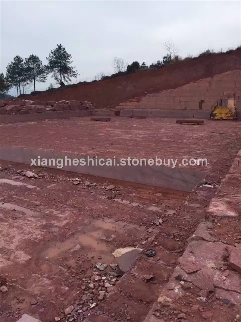 鸡血红（寿宁红） 4