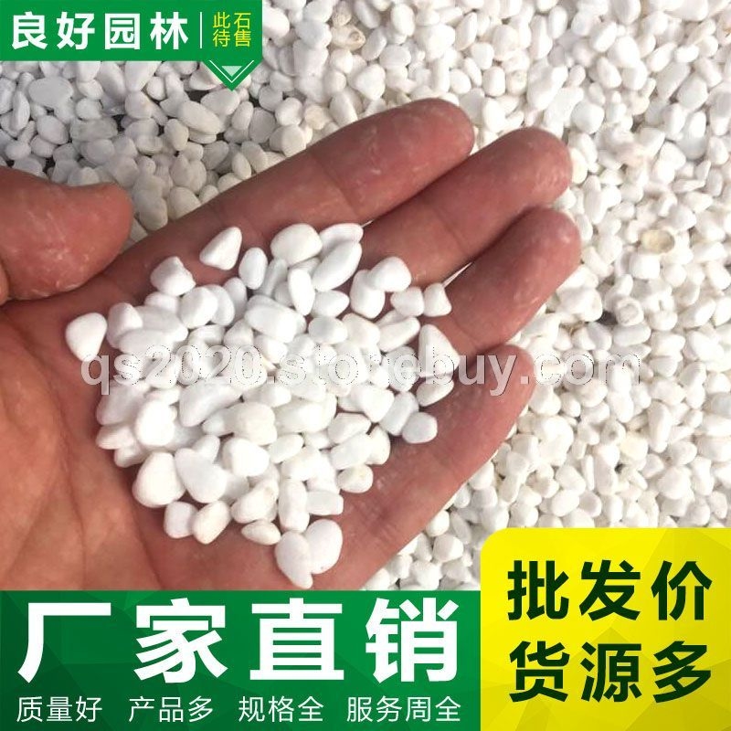 洗米石、白色洗米石批发、鱼缸铺底洗米石