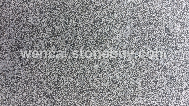 蒙古黑-湛江黑2