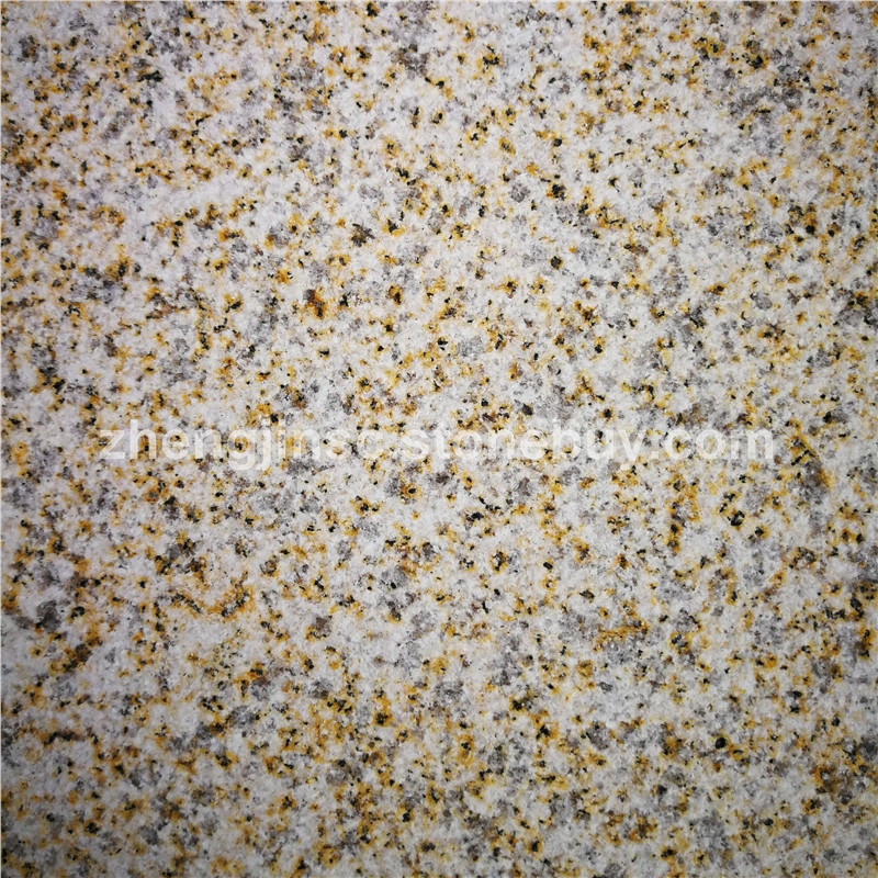 黄金麻大黄荔枝面