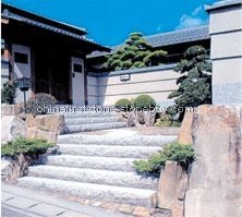 STEP[台阶石]
