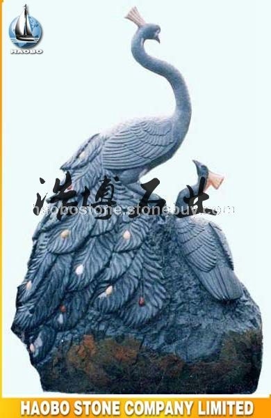 黑孔雀