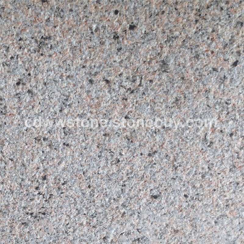 莎利士红荔枝面