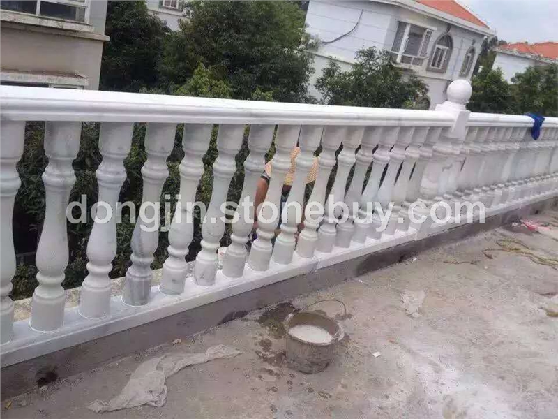 广西白栏杆 7