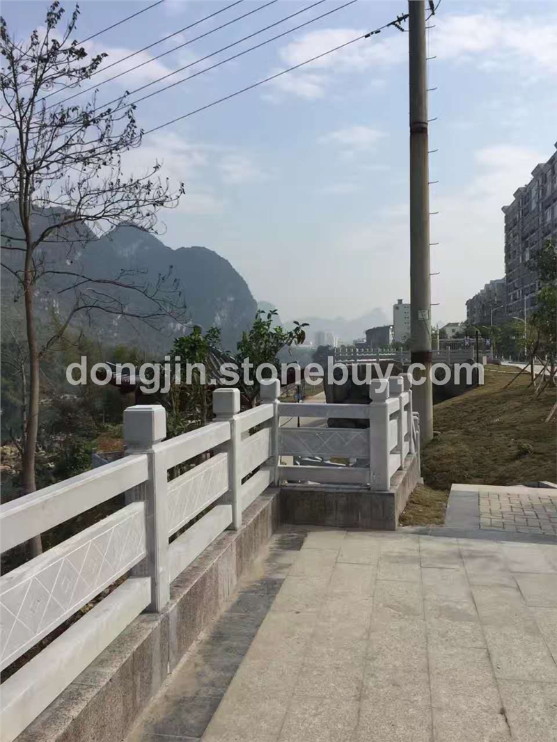 廣西白欄桿 9