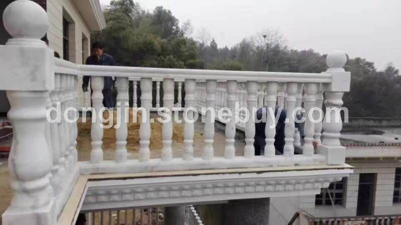 广西白栏杆 19