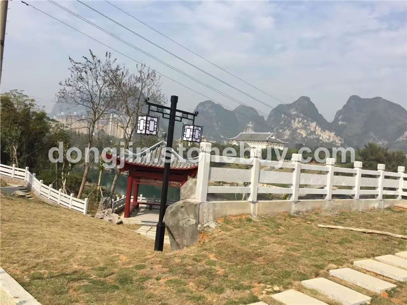 广西白栏杆 12