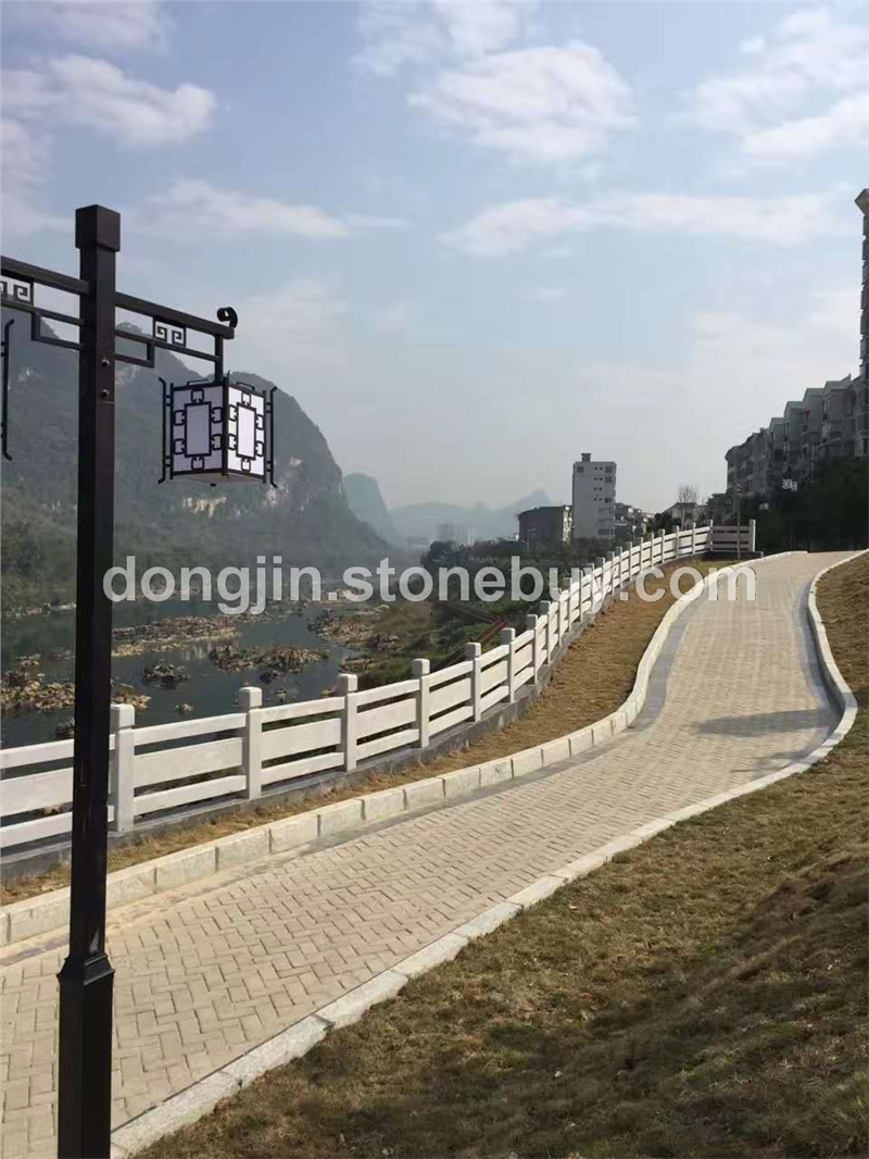 广西白栏杆 6