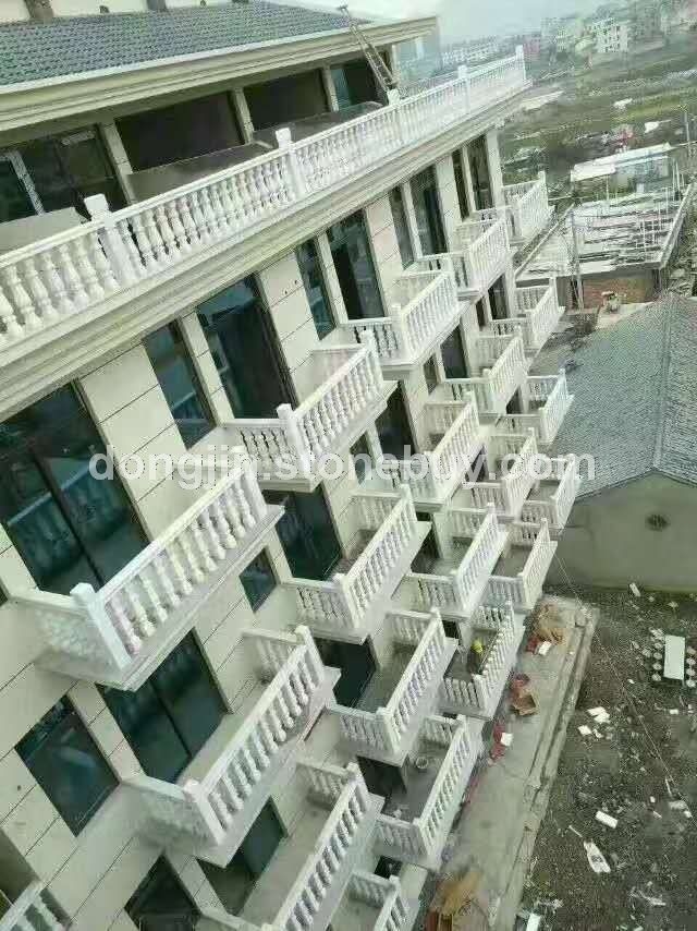 广西白栏杆 24