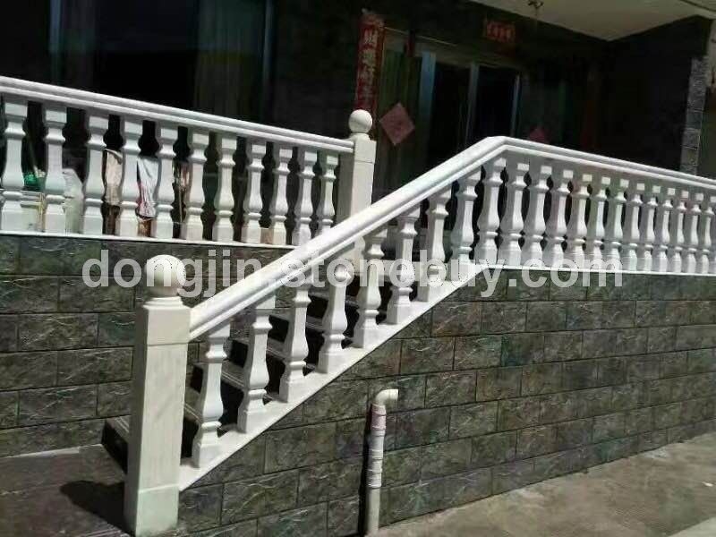 广西白栏杆 18