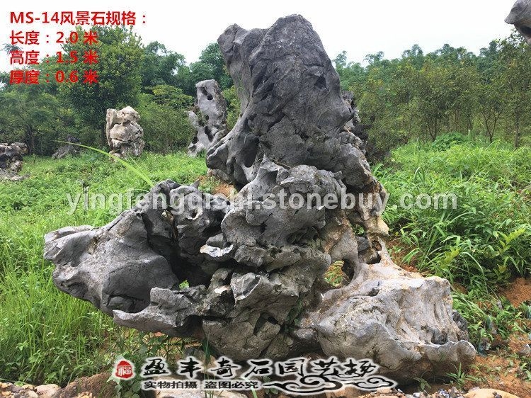 广东 太湖石景观石大型假山石头原石直供奇石天然造景风景石户外园林石