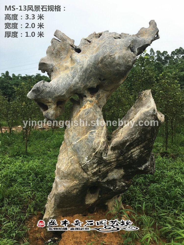惠州 湖石景观石大型假山石头原石直供奇石天然造景风景石户外园林石