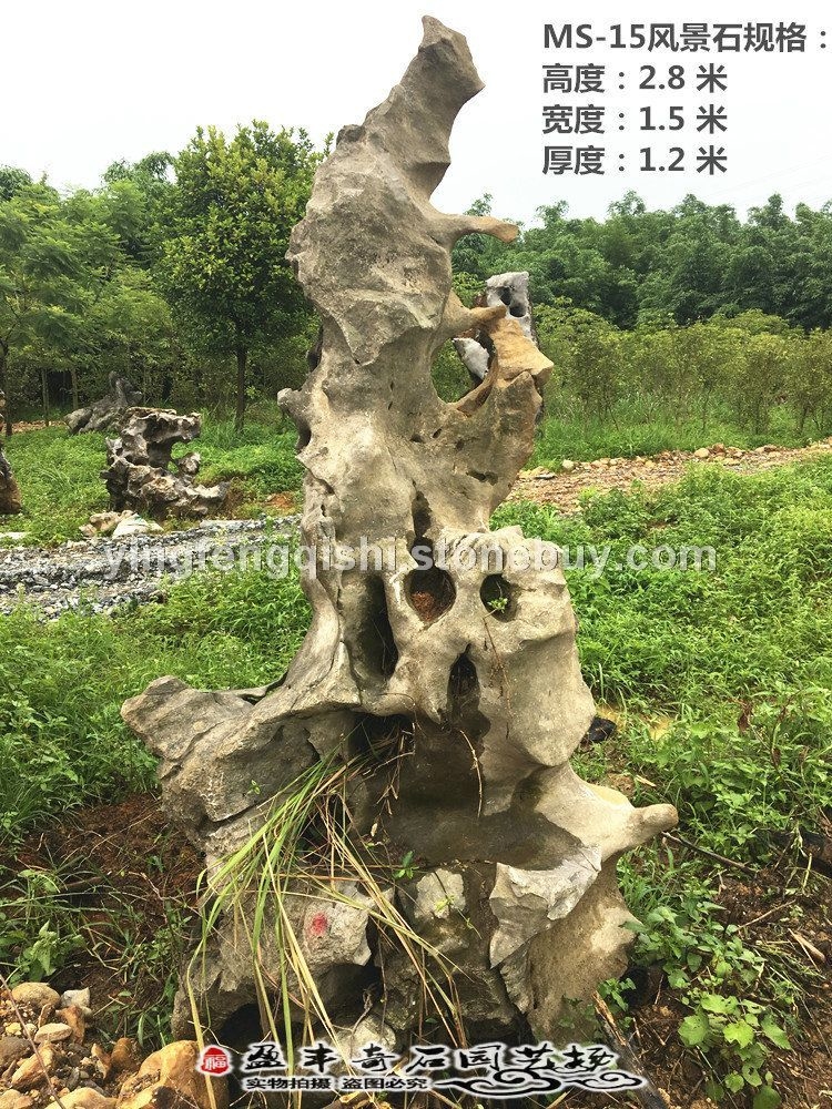 太湖石风景石庭院公园大型太湖石户外园林窟窿石直销精品水池户外