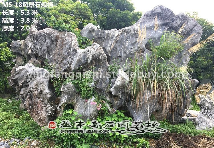 英德石場直供園林酒店花園風(fēng)景石太湖石古石庭院擺件觀賞石假山石
