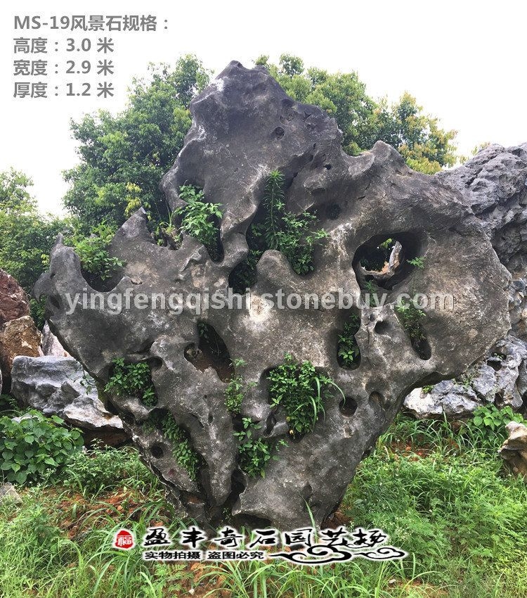 云南  天然风景园林太湖石风水观赏石园林石假山石头庭院别墅小区草坪石