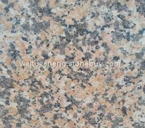 伟图阿拉善黄a25