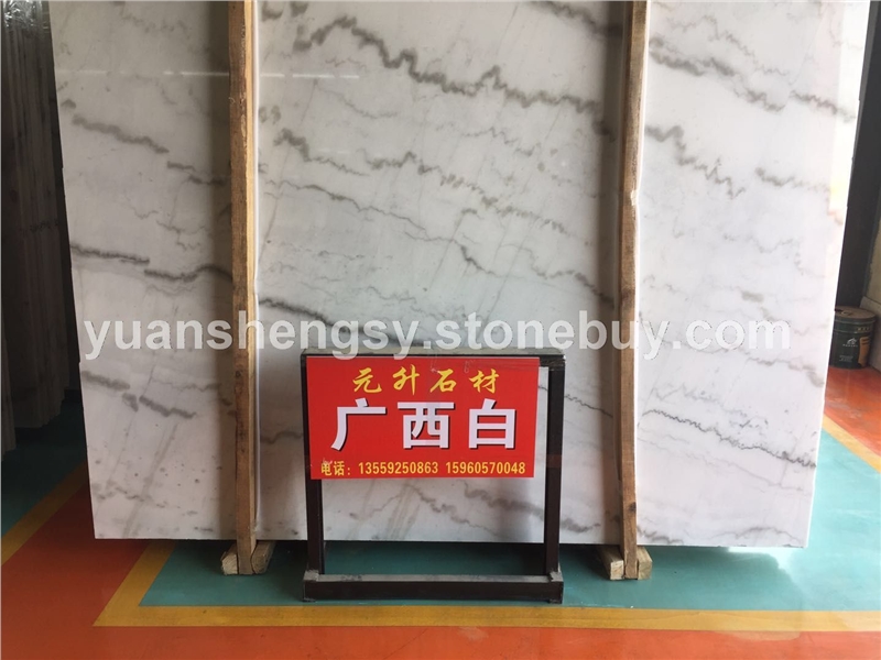 广西白