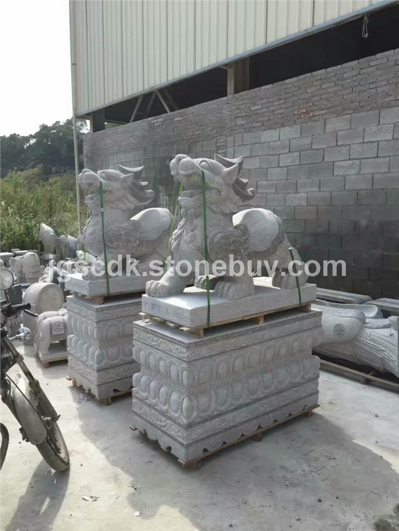 动物