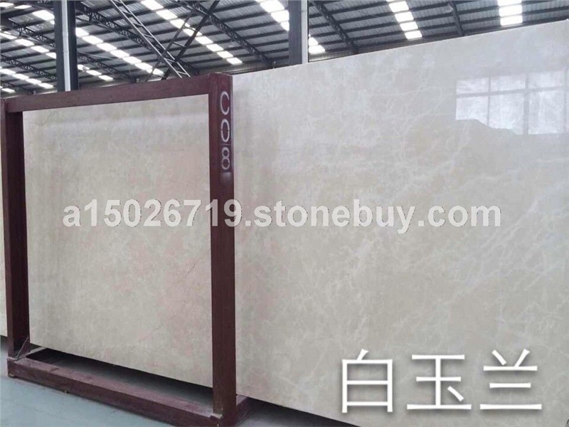 白玉兰 兴玉进口大理石