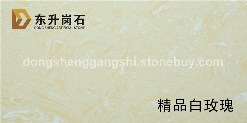 精品白玫瑰