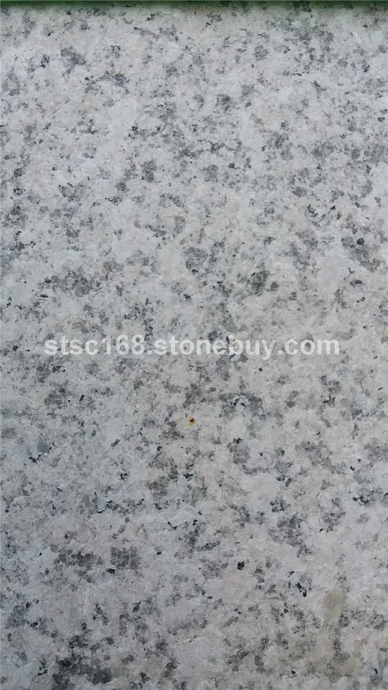 山东白麻