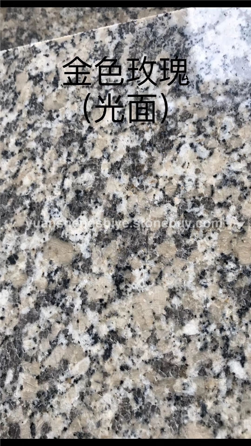 金色玫瑰