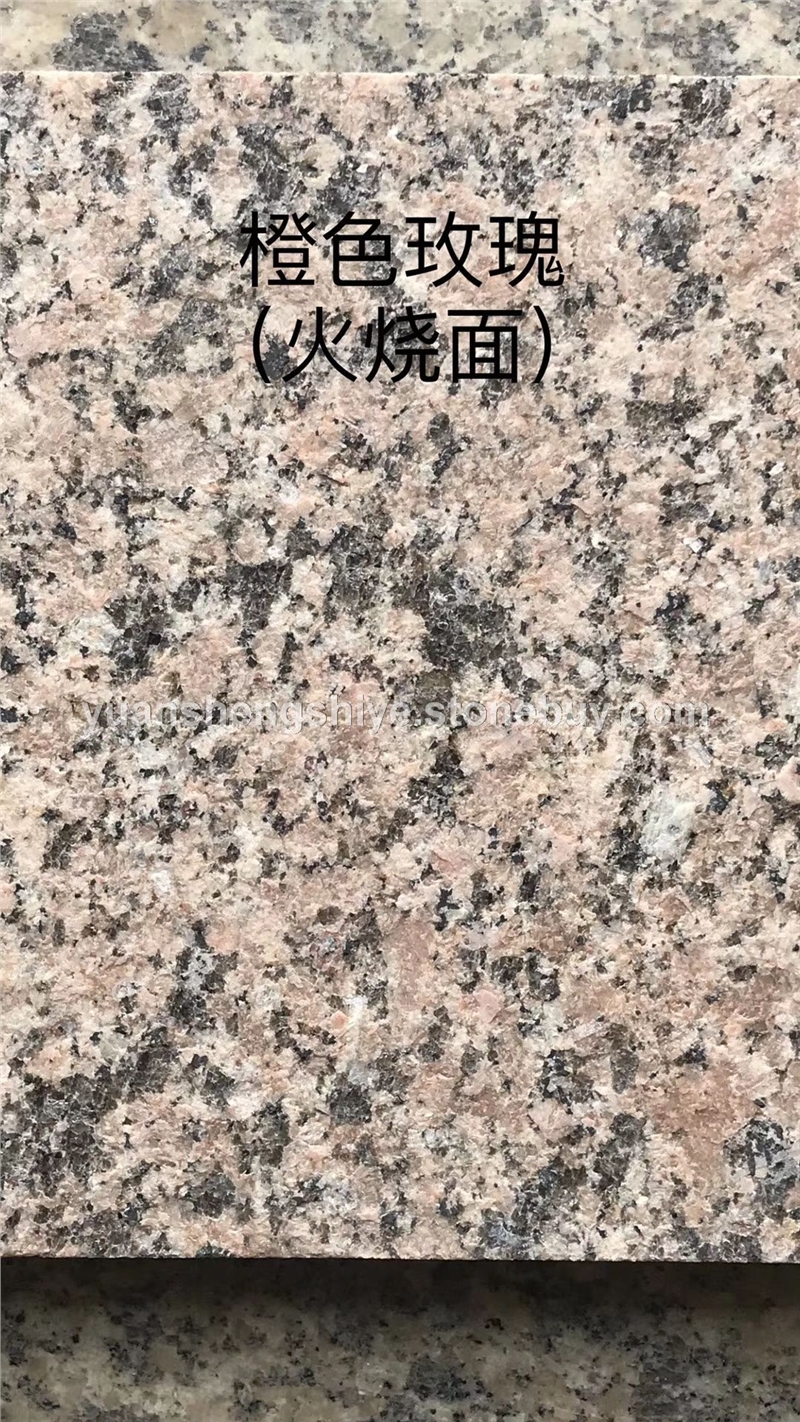 橙色玫瑰火烧