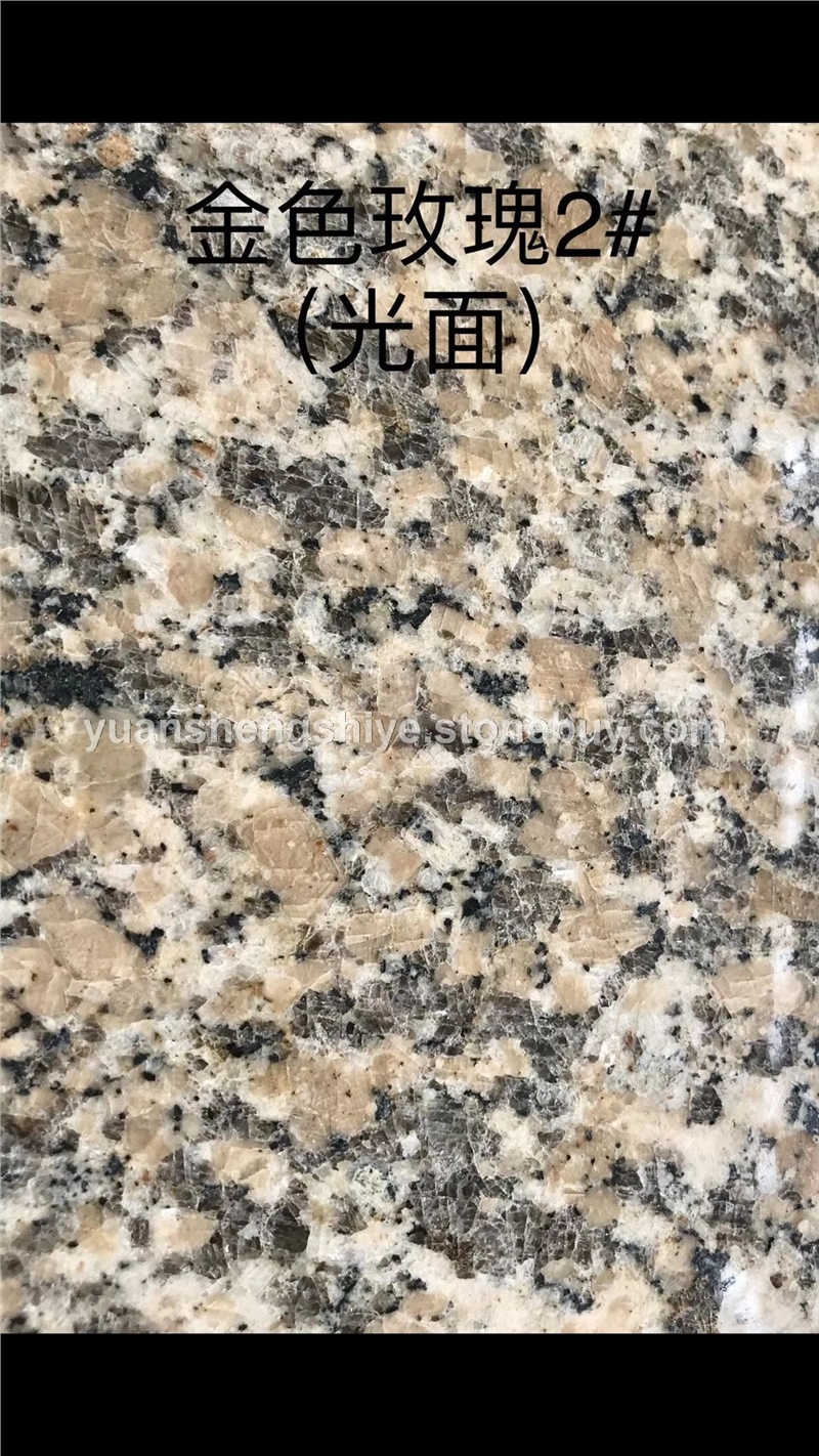 金色玫瑰2光面
