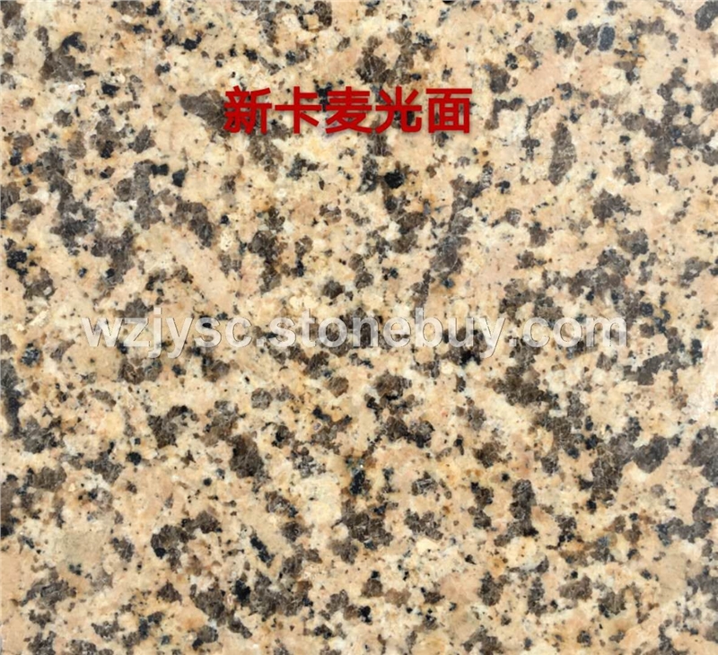 黄金麻，内蒙古黄金麻