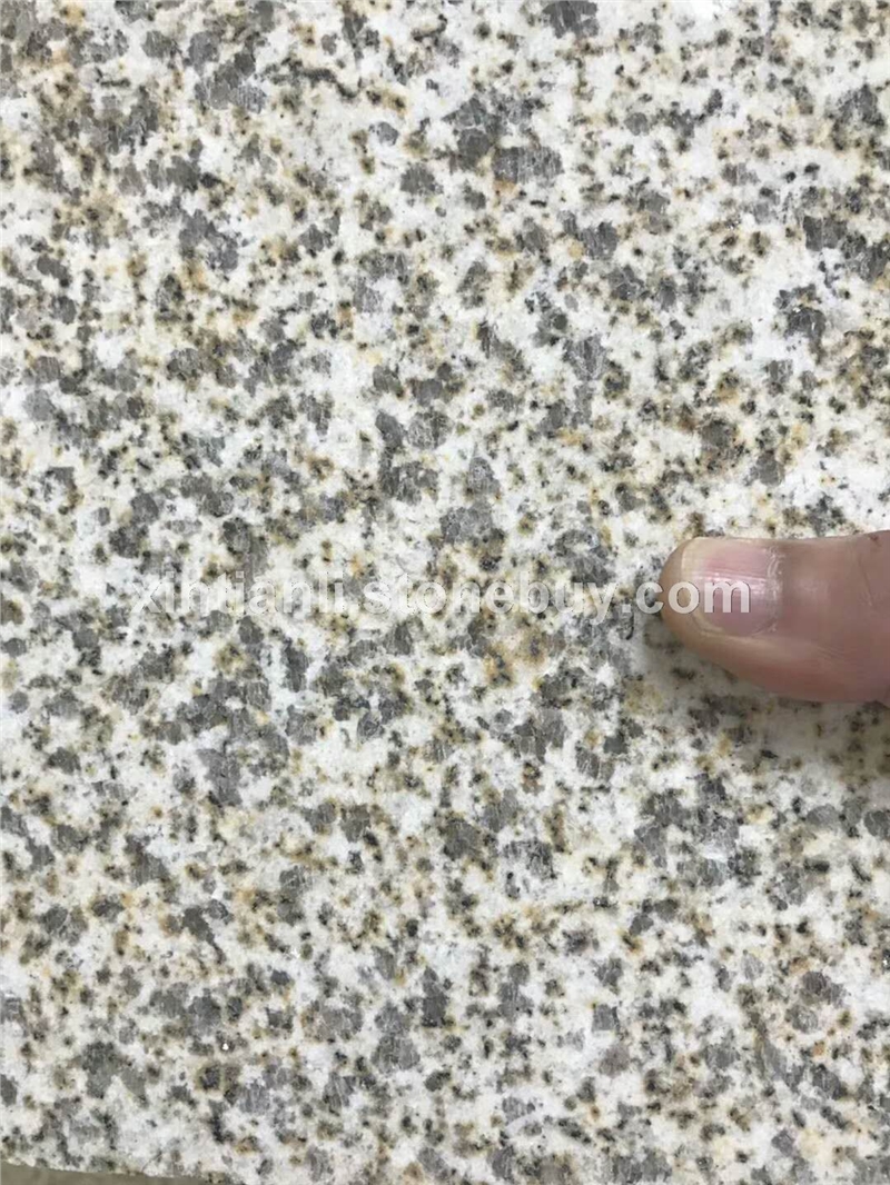 黄金麻
