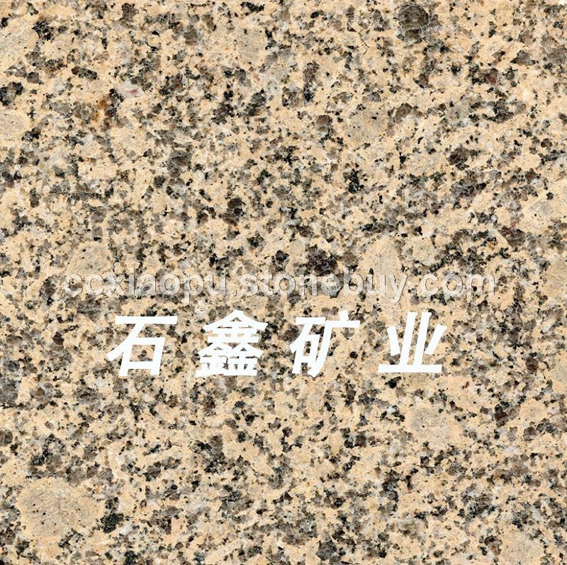 江西菊花黄江西新卡麦江西卡麦大黄