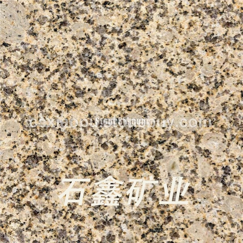 江西卡麦卡拉麦里金菊花黄浅黄