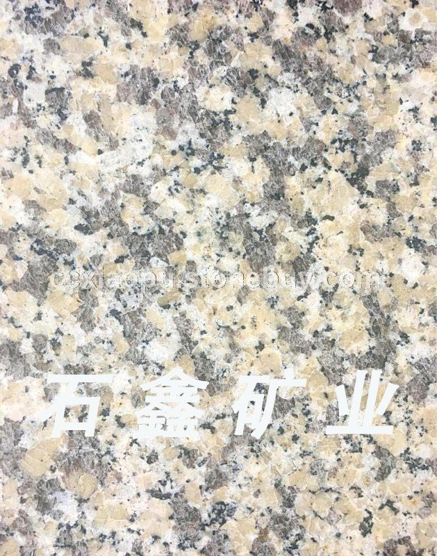 金色玫瑰