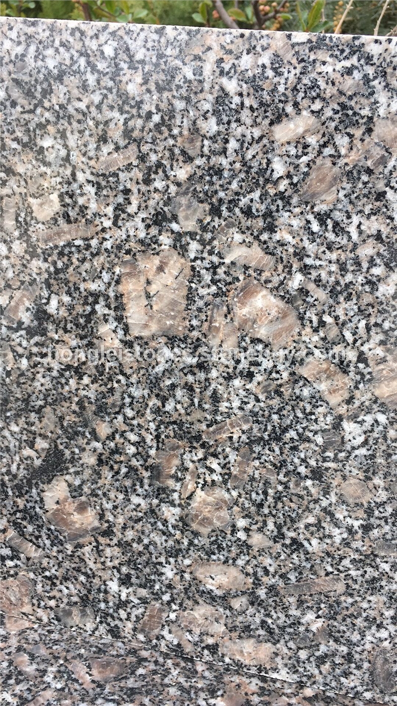 600*800*20