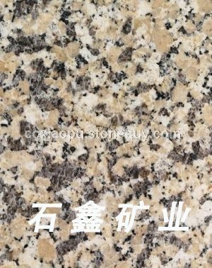 金色玫瑰