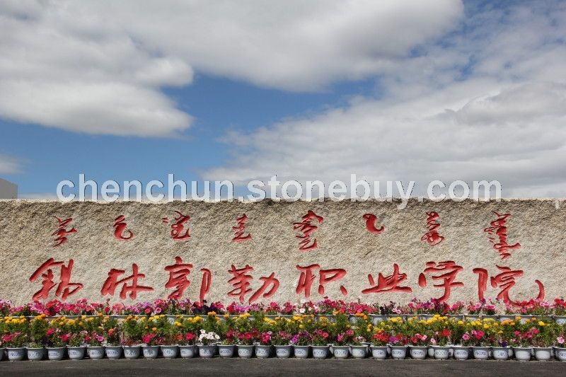 錫盟教育學院荔枝面
