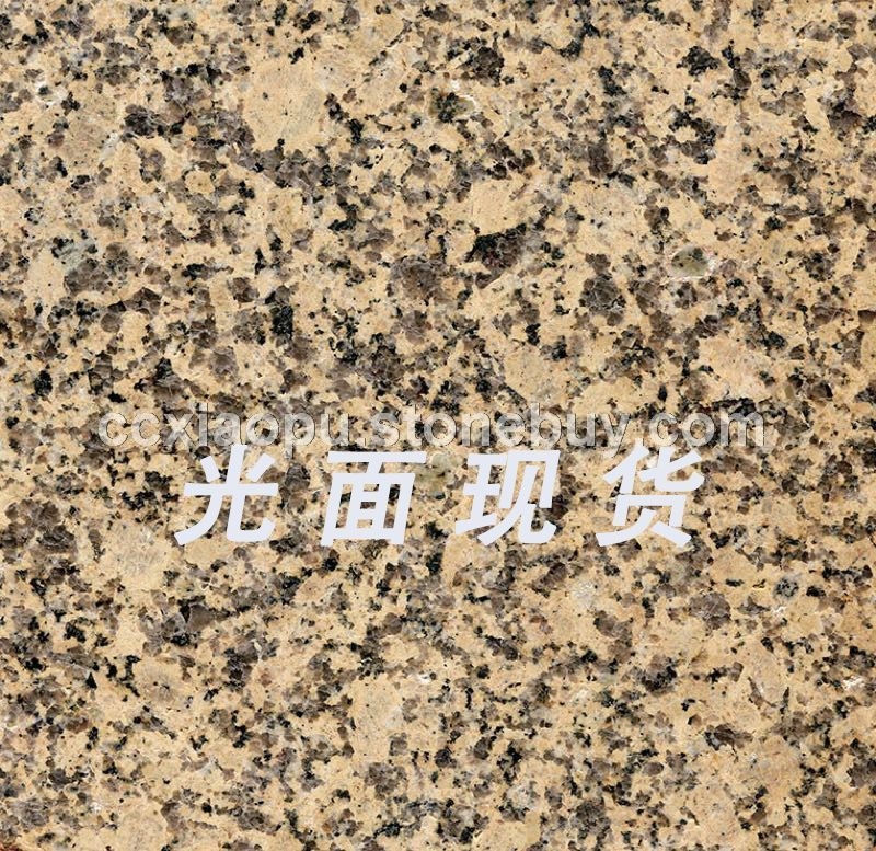 新卡麦菊花黄新海地金钻金卡麦