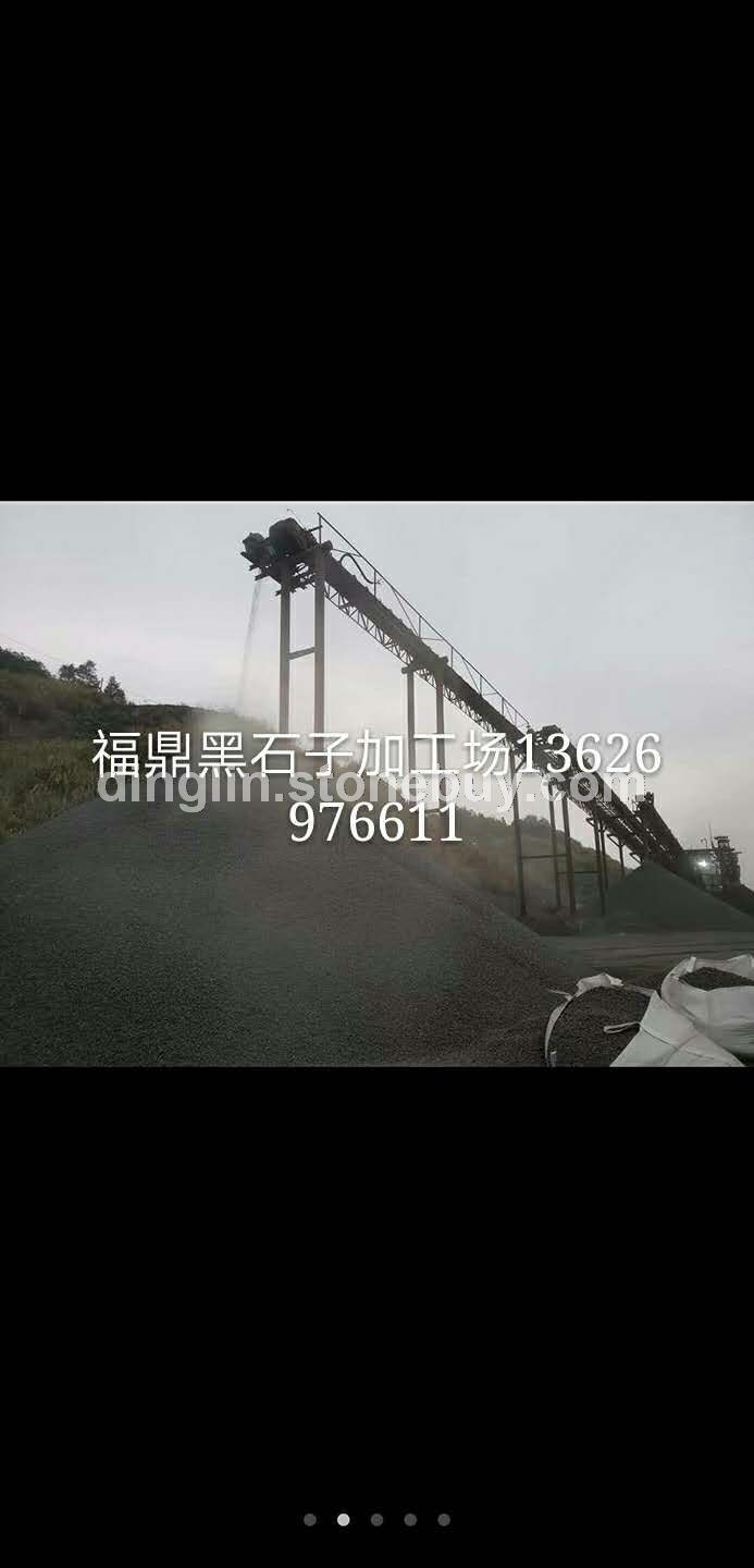 福鼎黑石子加工厂