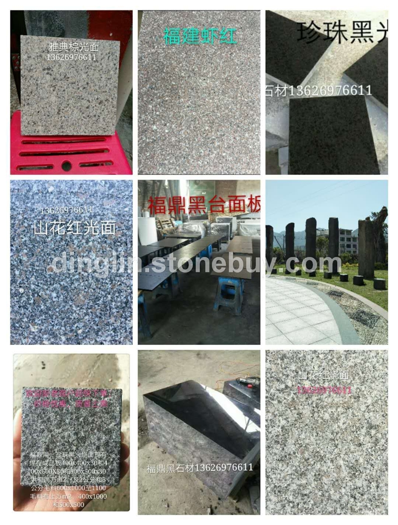 专业从事福鼎黑等