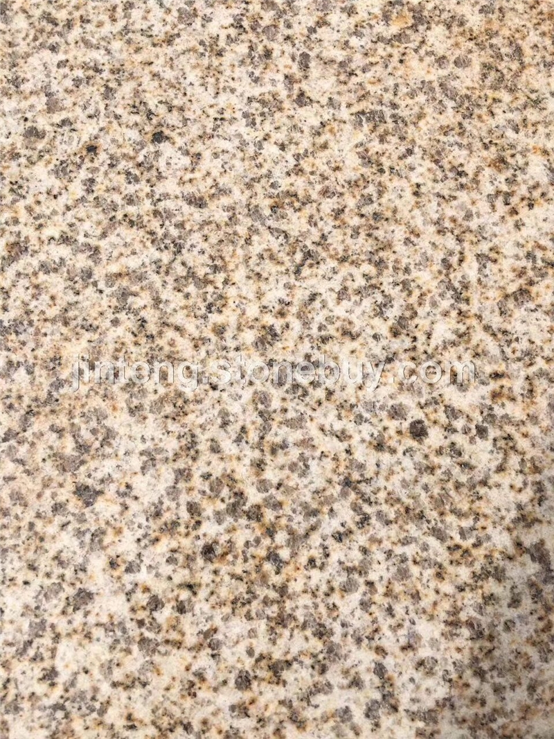 黄金麻
