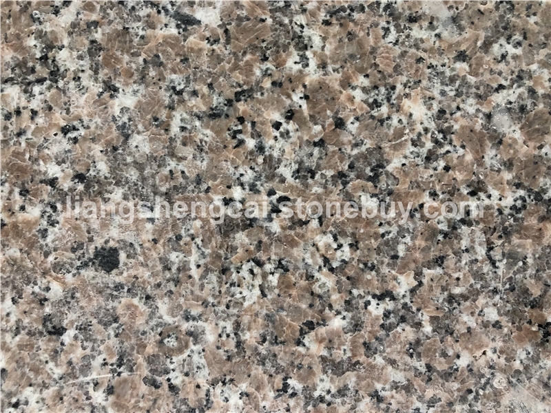 新品广西梅花红