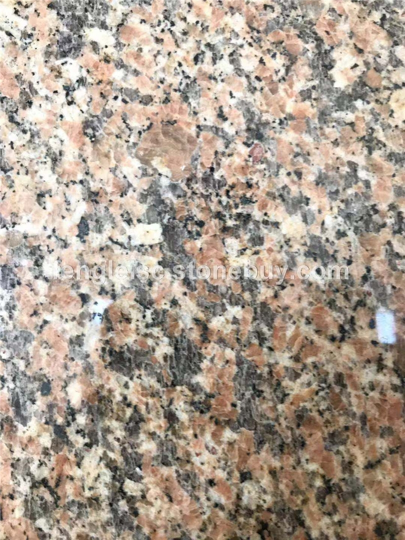 阿拉善红
