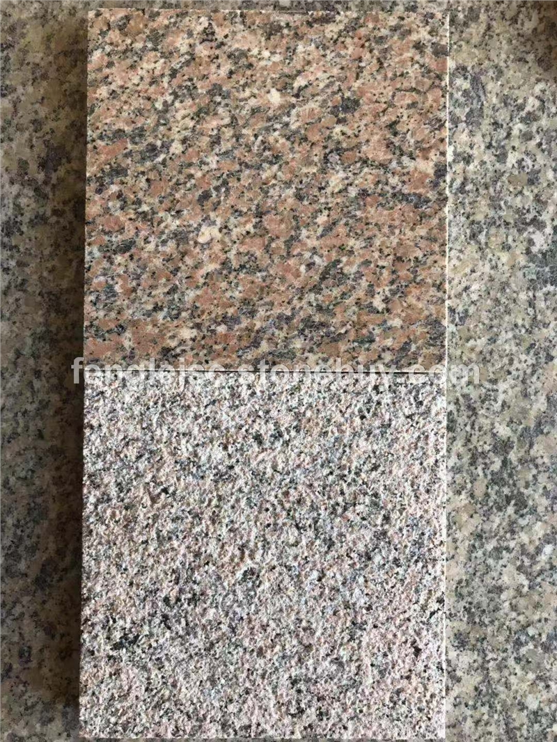 阿拉善红