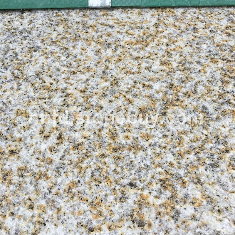 随州黄金麻荔枝面价格