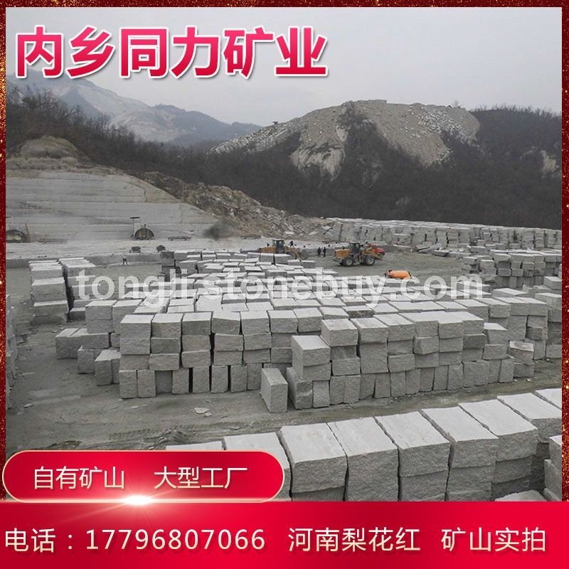 河南新西丽红矿山梨花红红色花岗岩荒料