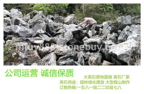 假山石—特价大英石厂家直销 公园点缀石